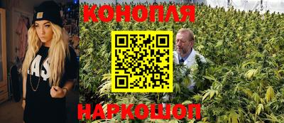 индика Краснокаменск
