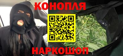 mdpv Краснознаменск