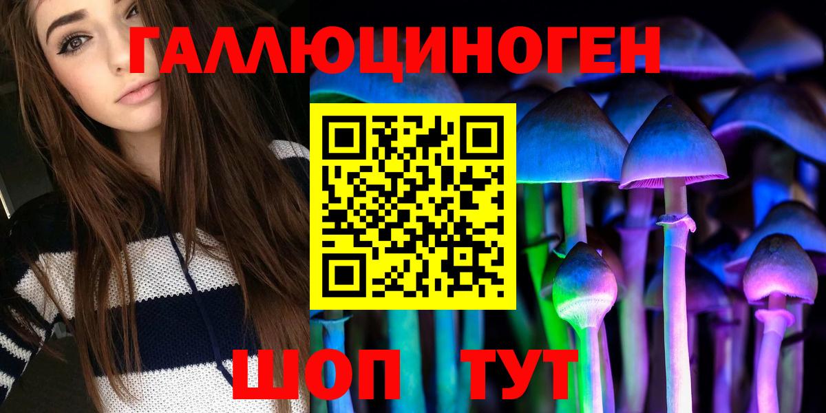 Псилоцибиновые грибы мицелий Ярославль