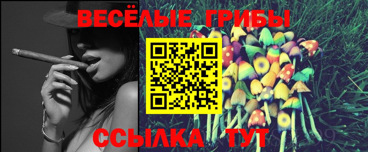 Галлюциногенные грибы мицелий  Вход с VPN  цена   Ярославль  Псилоцибиновые грибы мицелий 